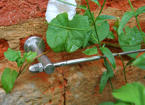 Tensioned Wire Trellis System