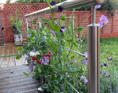 Stainless Steel Balustrade with Wire Infill Stainless Steel Balustrade with Wire Infill